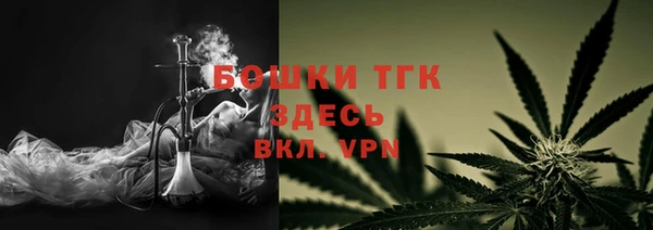не бодяженный Заводоуковск