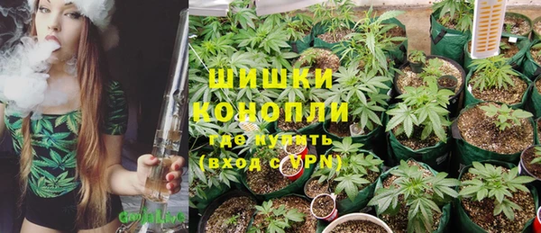 не бодяженный Заводоуковск