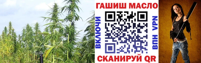 Дистиллят ТГК гашишное масло  Купить закладки  Холмск 