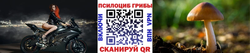Галлюциногенные грибы ЛСД  Купить  Холмск 